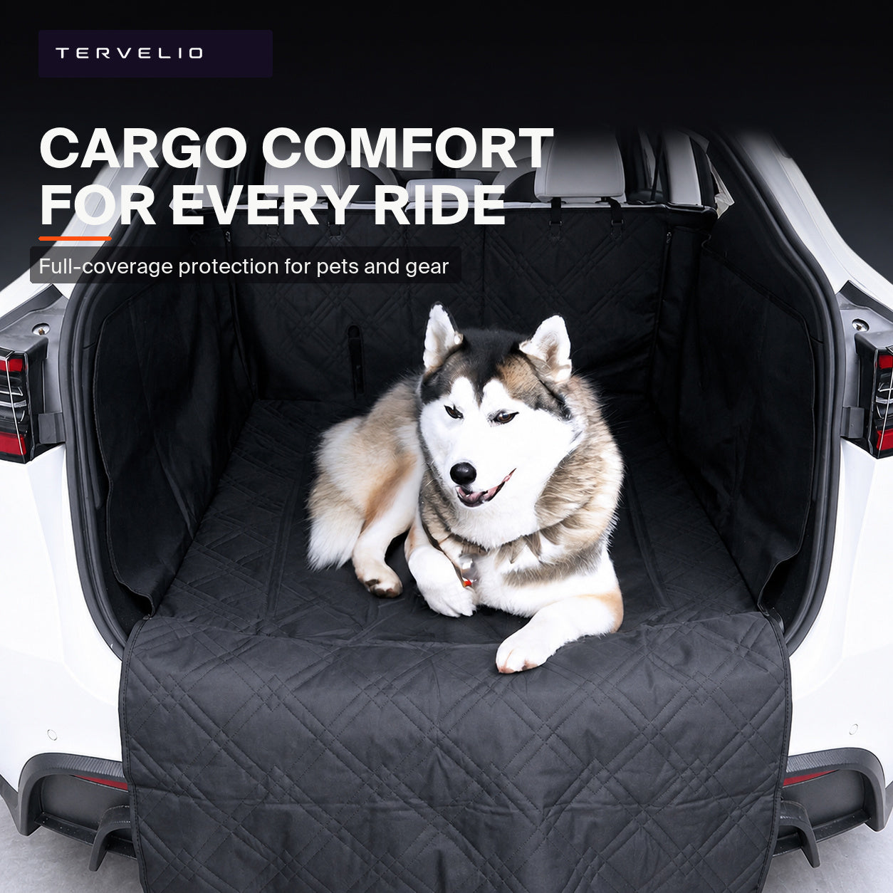 Model Y Cargo Pet Liners: Setup, Cleaning, and Fit