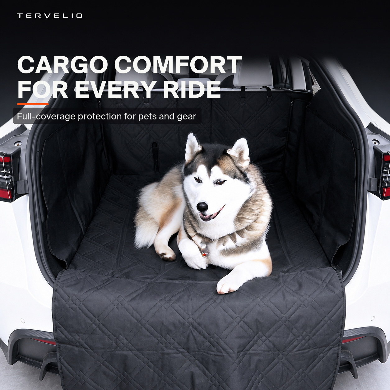 Cargo-area pet protection